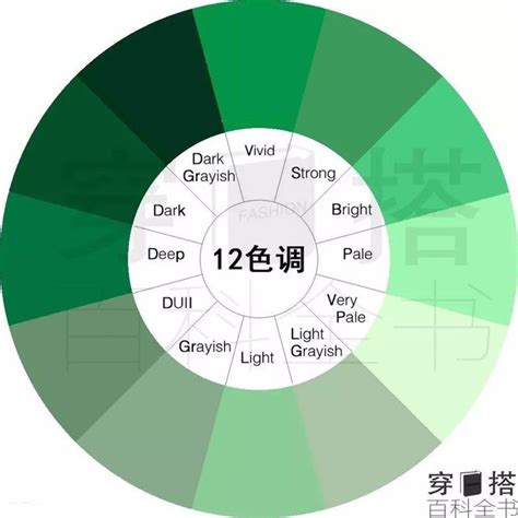 綠色代表什麼|【綠色代表意義】不可不知的「綠」色代表意涵：帶你。